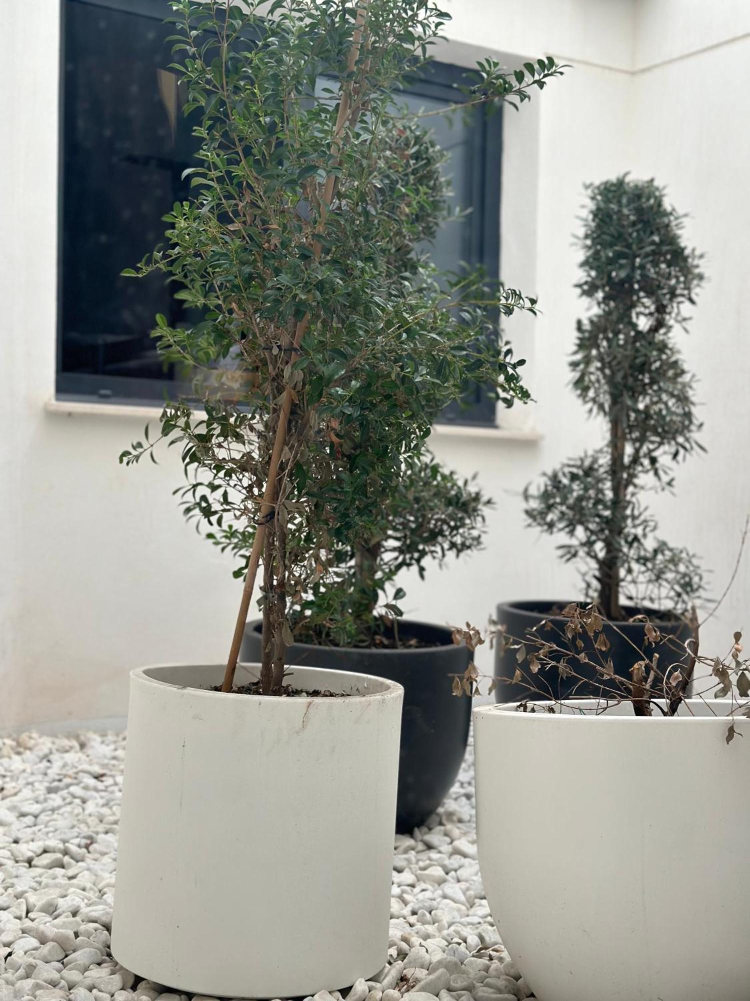 Hostel Alicante A-Cero Living Eksteriør bilde