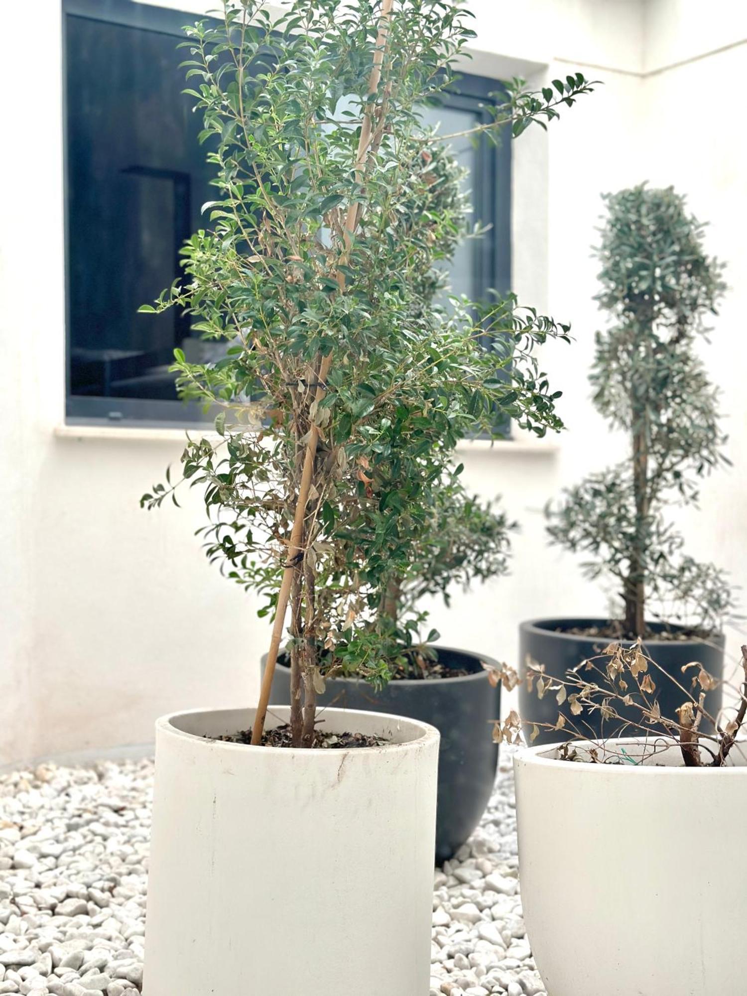 Hostel Alicante A-Cero Living Eksteriør bilde